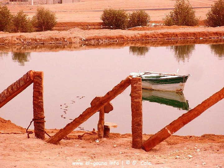 Nubian House 646